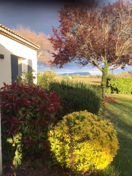 Sejour En Provence Maison Avec Vue Sur La Sainte Victoire Et Piscine Pres D'Aix En Provence Экс-ан-Прованс Экстерьер фото